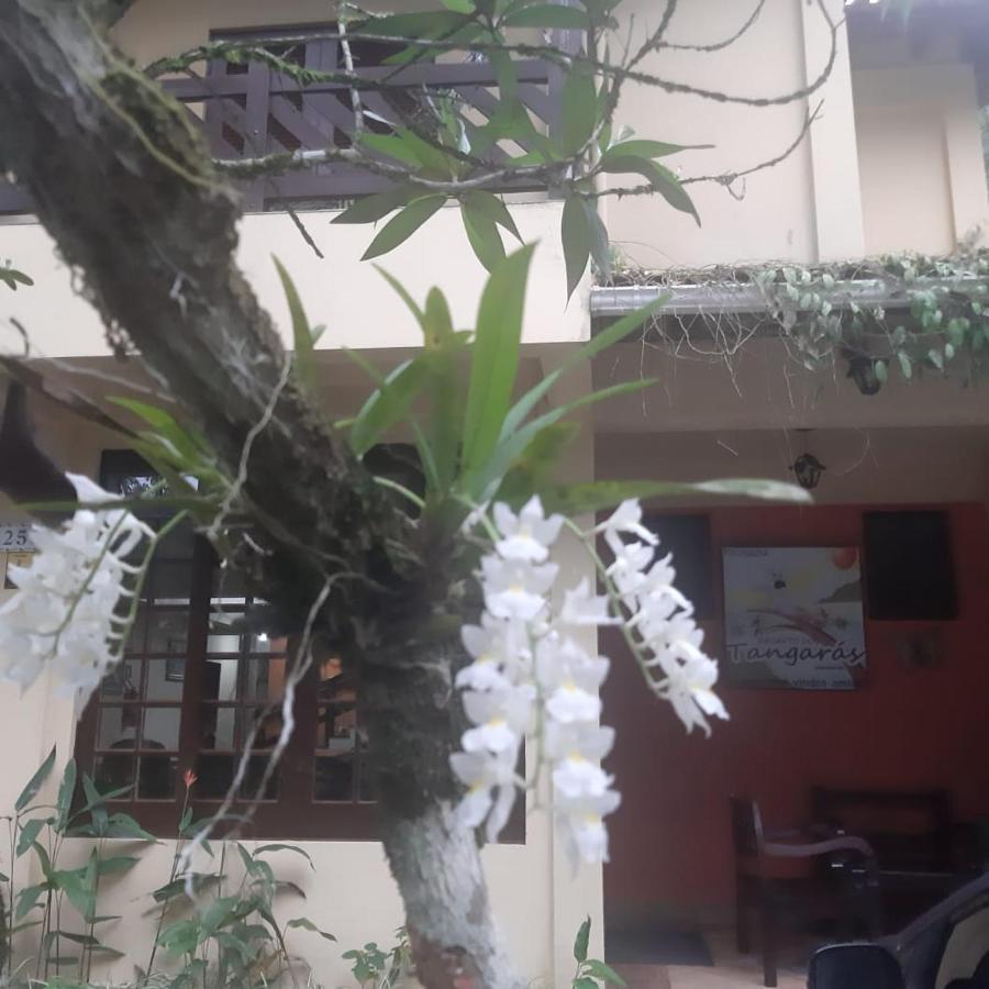 Pousada Recanto Dos Tangaras Juquei Exterior foto